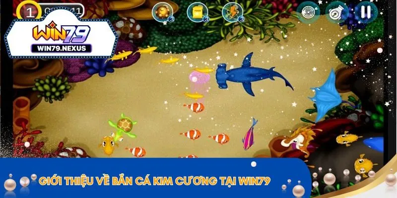 Giới thiệu về bắn cá kim cương apk tại WIN79 