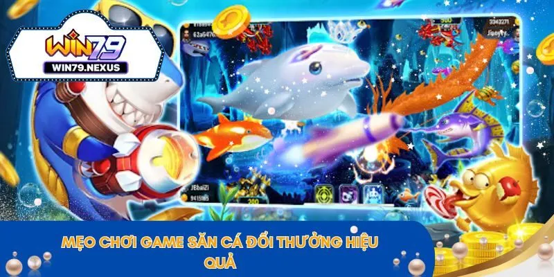 Mẹo chơi game săn cá đổi thưởng hiệu quả