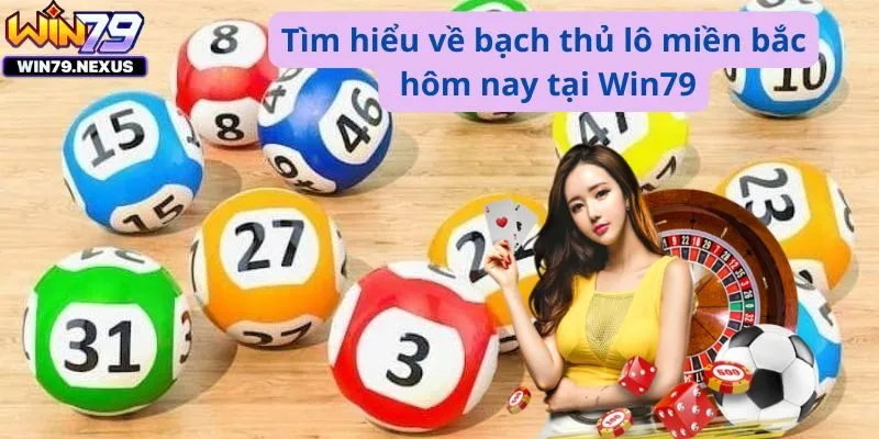 Tìm hiểu về bạch thủ lô miền bắc hôm nay tại Win79