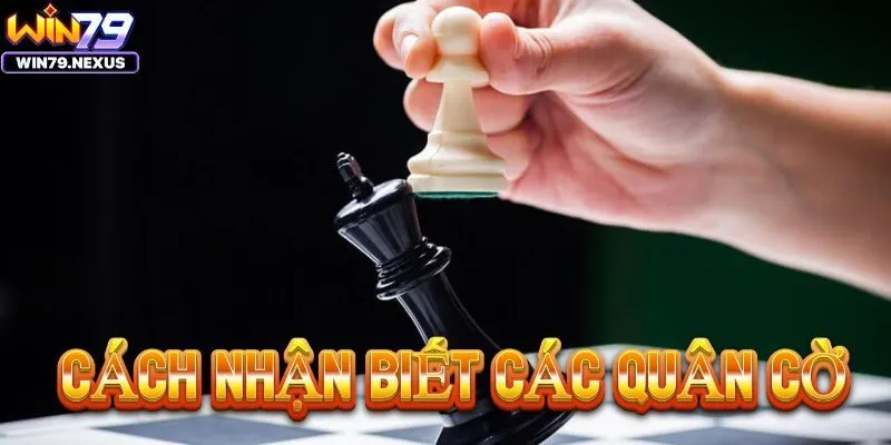 Các quân cờ trong bàn cờ Vua tân thủ nên biết