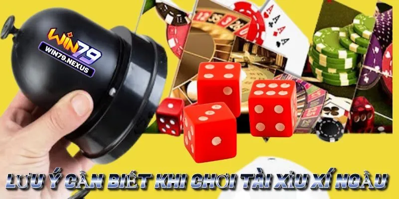 Sai lầm cần tránh khi đặt cược tài xỉu Xí Ngầu