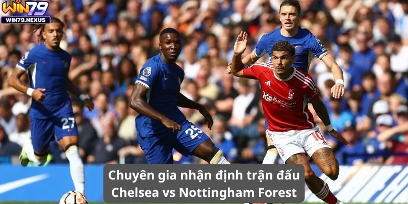 Chuyên gia nhận định trận đấu Chelsea vs Nottingham Forest