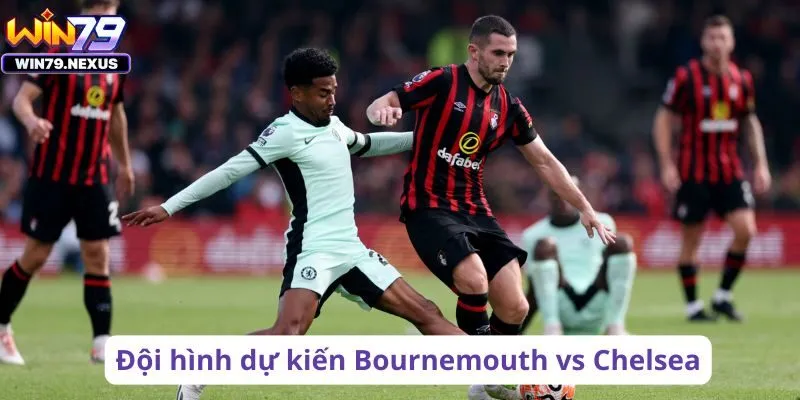 Đội hình dự kiến Bournemouth