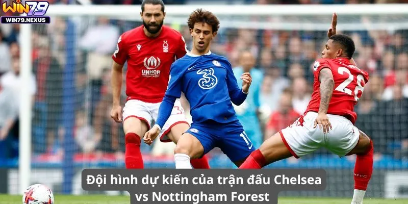 Đội hình dự kiến của trận đấu Chelsea vs Nottingham Forest 