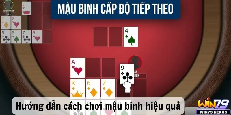 Hướng dẫn cách chơi mậu binh hiệu quả