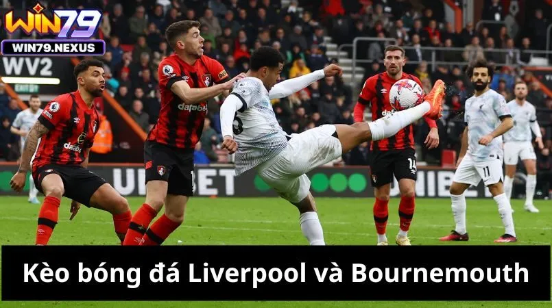 Kèo bóng đá Liverpool và Bournemouth