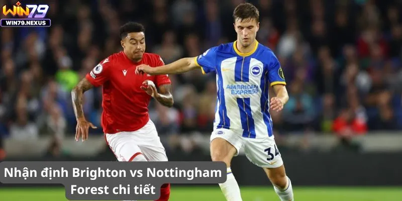 Nhận định Brighton vs Nottingham Forest chi tiết