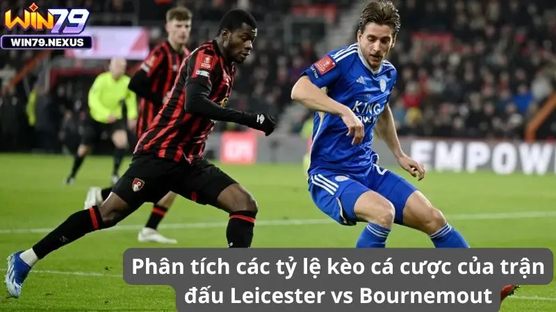 Phân tích các tỷ lệ kèo cá cược của trận đấu Leicester vs Bournemout