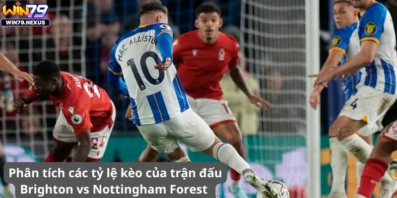 Phân tích các tỷ lệ kèo của trận đấu Brighton vs Nottingham Forest 