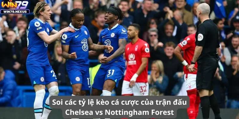 Soi các tỷ lệ kèo cá cược của trận đấu Chelsea vs Nottingham Forest