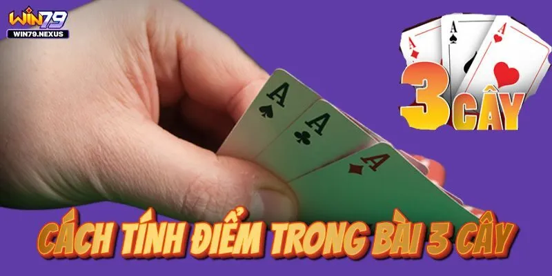 Cách tính điểm trong bài 3 cây