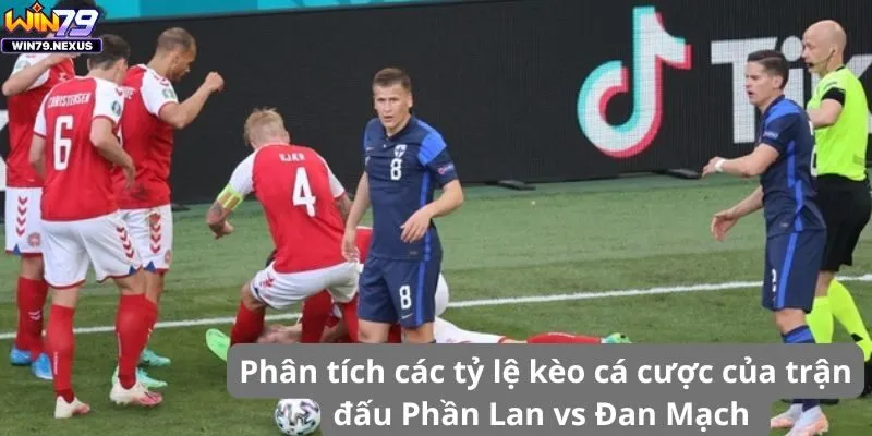 Phân tích các tỷ lệ kèo cá cược của trận đấu Phần Lan vs Đan Mạch 