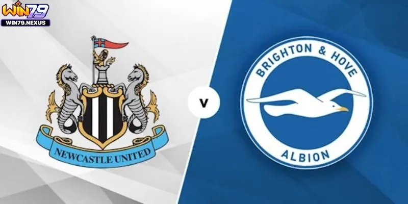 Soi kèo của trận đấu Newcastle vs Brighton hôm nay 19-10