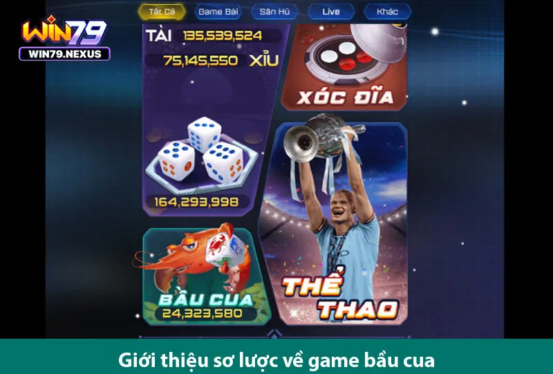 Cách chơi game bầu cua chỉ có thắng cùng cược thủ chuyên nghiệp ở https://win79.nexus