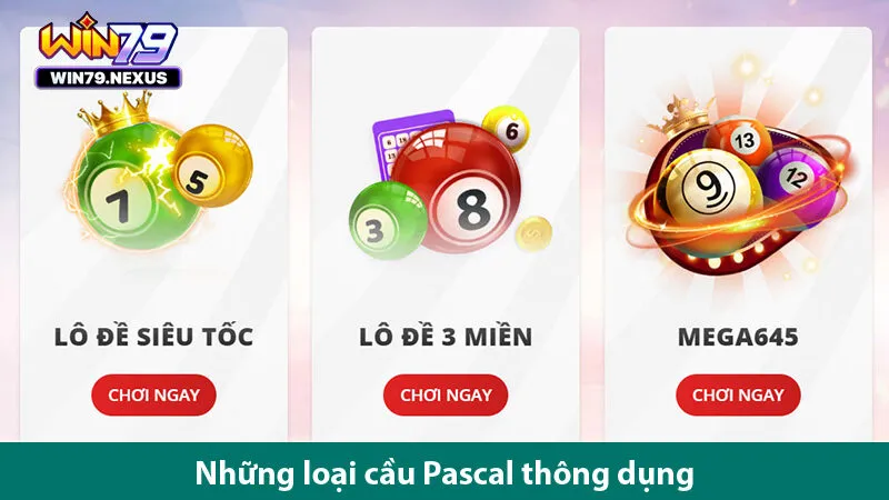 Tìm hiểu những loại cầu Pascal và những lỗi cần tránh khi soi cầu