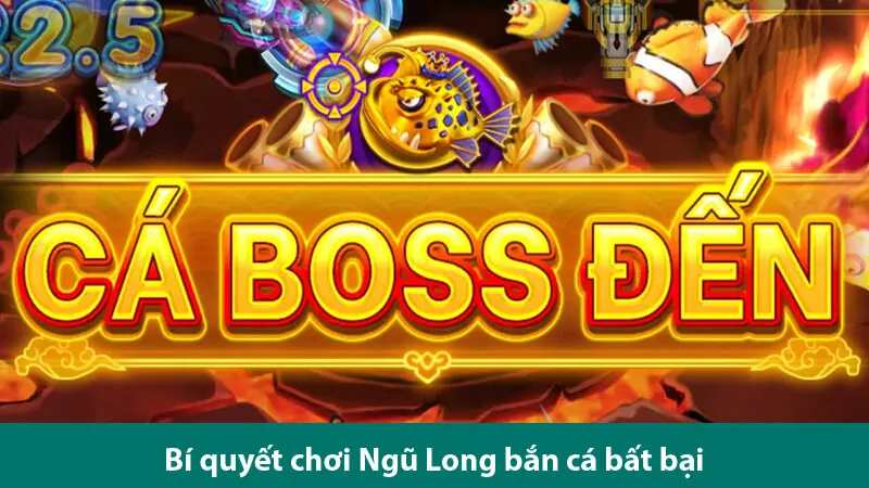 Cách chơi và các bí quyết săn cá khủng trong trò chơi bắn cá Ngũ Long